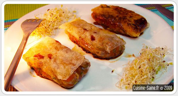 nems d'aubergines à la viande hachée