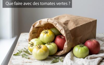 Que faire avec des tomates vertes ?