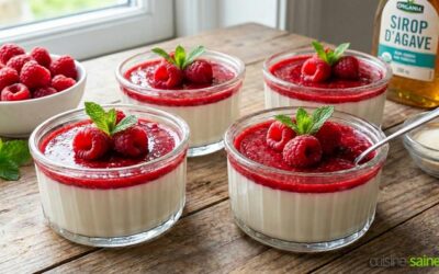 Panna cotta végétale au coulis framboise