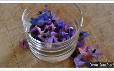 La fleur de bourrache et les fleurs comestibles : comment les utiliser en cuisine ?