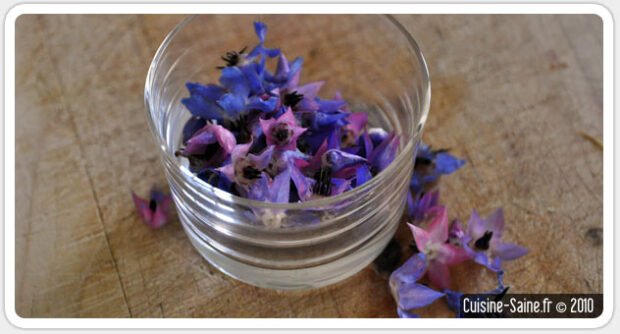 les fleurs comestibles, la fleur de bourrache