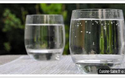 La fontaine à eau gazeuse : eau gazeuse, limonade et soda maison
