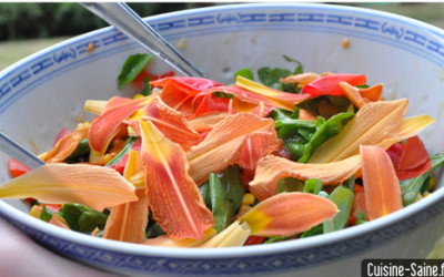 Recette bio minceur : salade composée à l’hémérocalle et coquelicot