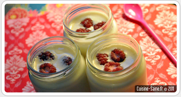 Recette bio : yaourt à la framboise
