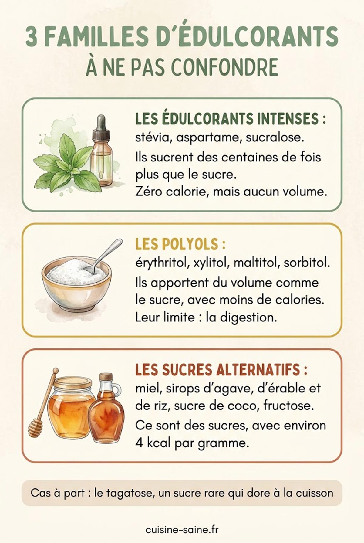 Infographie des trois familles d'édulcorants : édulcorants intenses, polyols et sucres alternatifs, avec leurs exemples et leurs limites