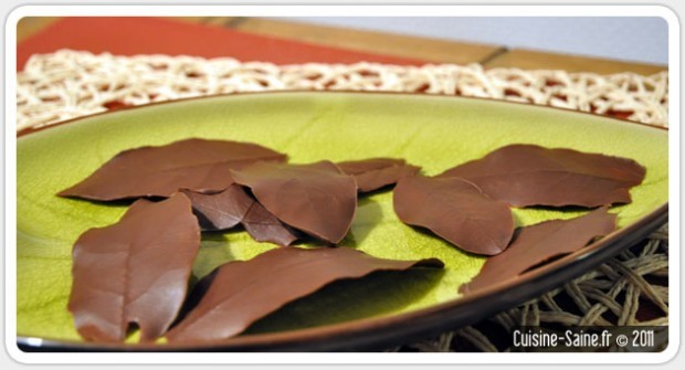feuille en chocolat