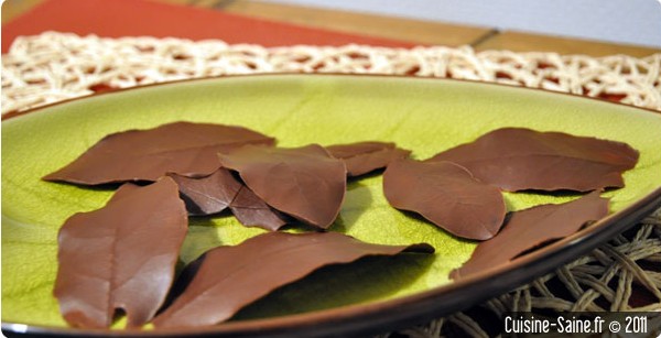 Blog cuisine bio : feuilles en chocolat