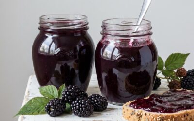 Gelée de mûres à l’agar-agar : recette facile sans pectine