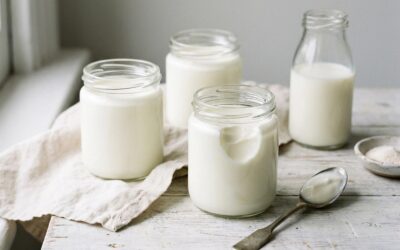 Yaourts au lait de chèvre fermes à la yaourtière
