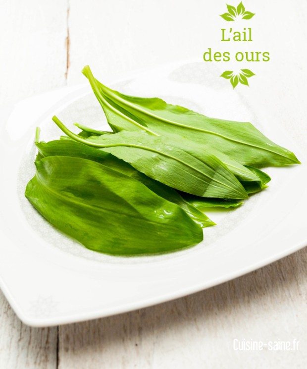 ail des ours