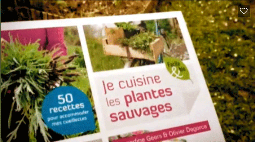 Je cuisine les plantes sauvages – Amandine Geers et Olivier Degorce