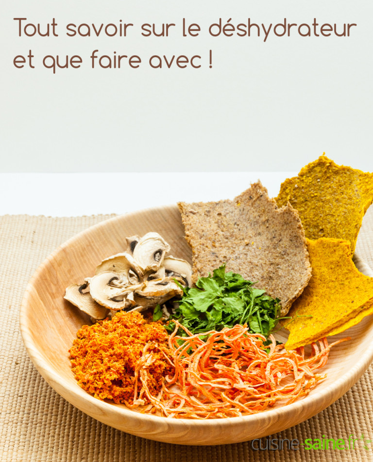 Tout savoir sur le déshydrateur et que faire avec !