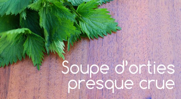 Soupe à l'ortie presque crue