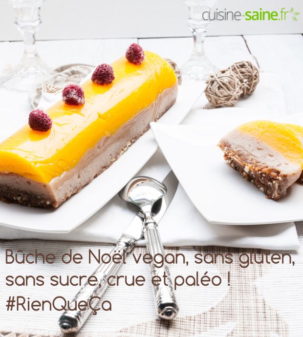 Bûche de Noël vegan sans gluten, sans sucre, crue et paléo !