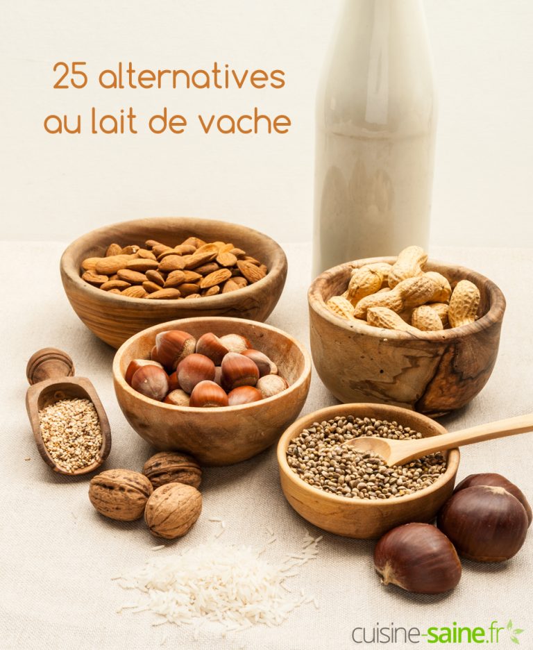 Par quoi remplacer le lait de vache ? 25 alternatives !