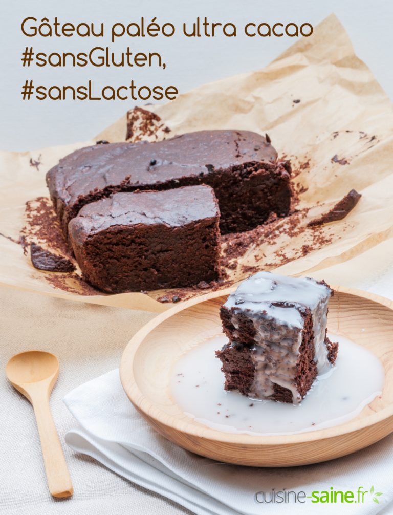 Gâteau paléo ultra cacao (sans gluten, sans lactose)