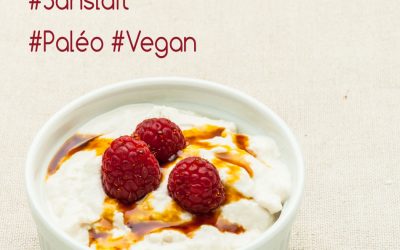 Yaourts végétaux aux probiotiques – Vegan & Paléo