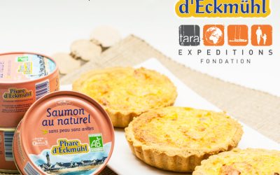 Impact du réchauffement climatique sur la pêche : Phare d’Eckmühl s’associe à Tara Expéditions pour sensibiliser le grand public