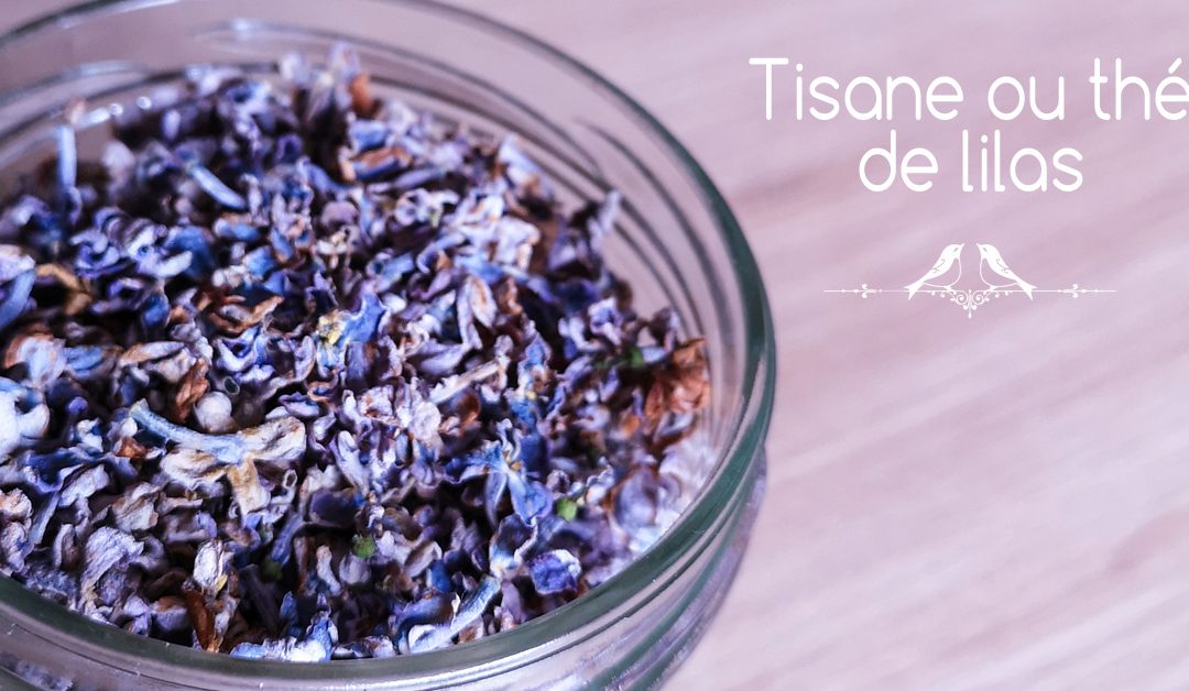 Comment préparer une tisane de lilas ou un thé vert au lilas ?