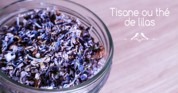 Comment préparer une tisane de lilas ou un thé vert au lilas ?