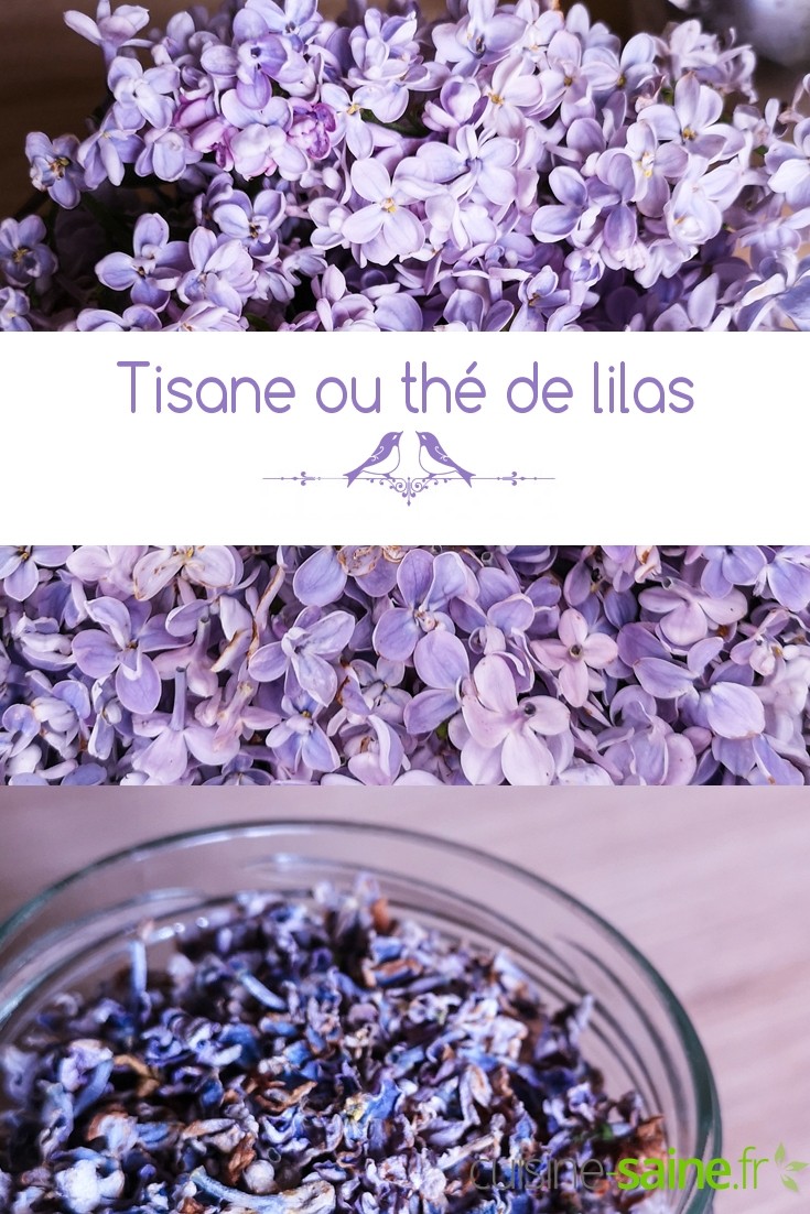 Comment préparer une tisane de lilas ou un thé vert au lilas ?