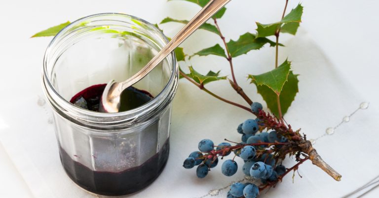 Gelée ou confiture de mahonia