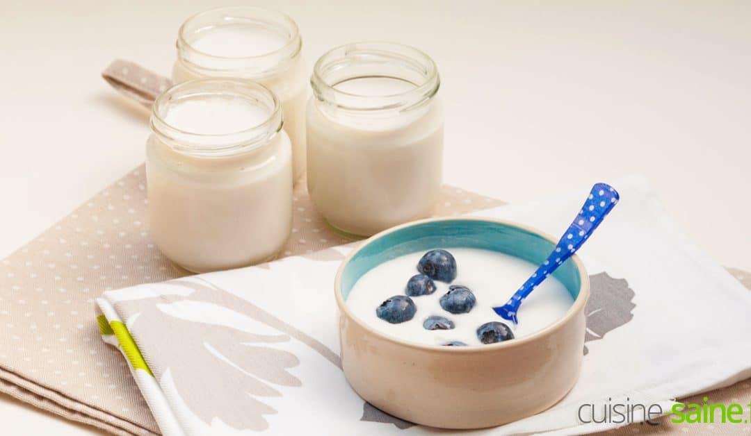 Comment faire un yaourt végétal au lait de coco vegan sans lactose ?