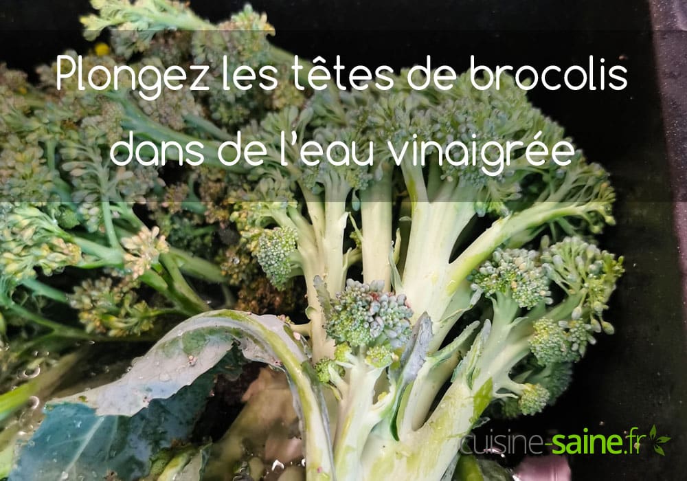 Dip the broccoli heads in vinegar water