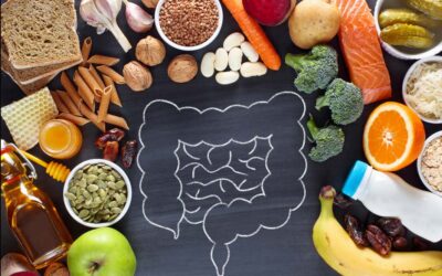 Comment l’état de vos intestins impacte votre santé ?