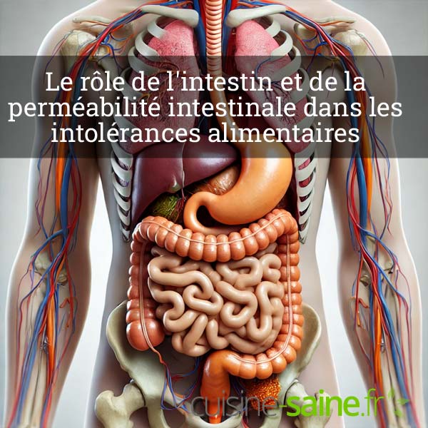 Le rôle de l'intestin et de la perméabilité intestinale dans les intolérances alimentaires et notamment le gluten