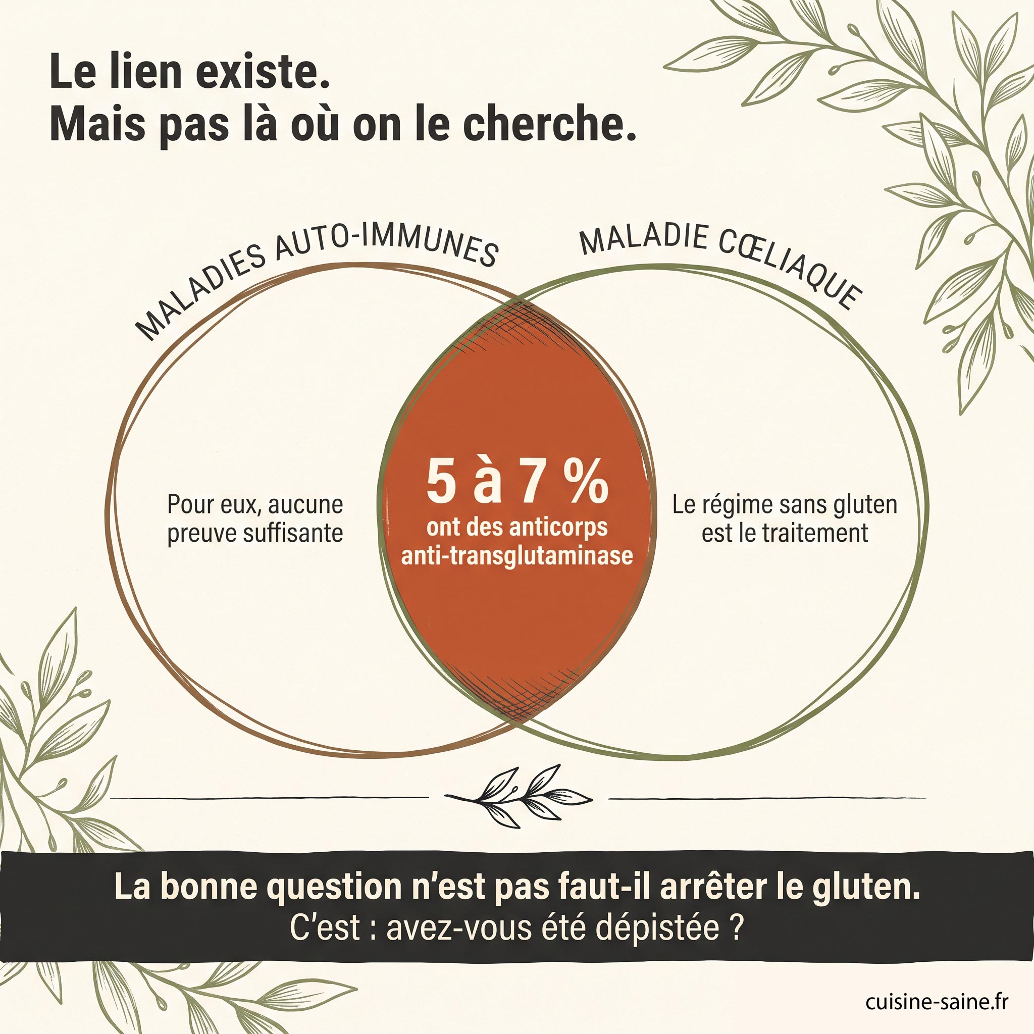 Diagramme montrant le recoupement entre maladies auto-immunes et maladie cœliaque : 5 à 7 % des patients auto-immuns ont des anticorps anti-transglutaminase
