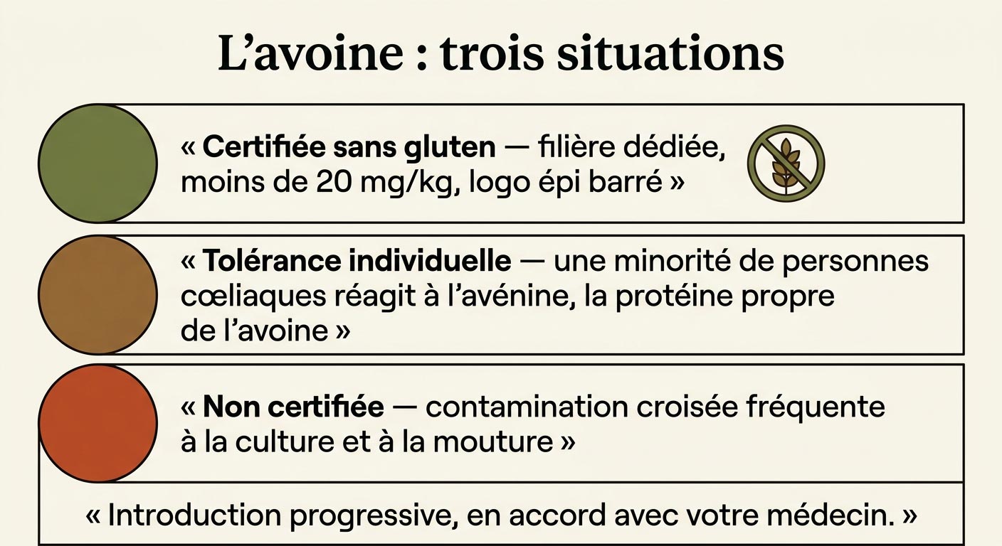L'avoine, 3 situations