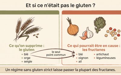 Maladie cœliaque, allergie au blé, sensibilité au gluten : comment s’y retrouver