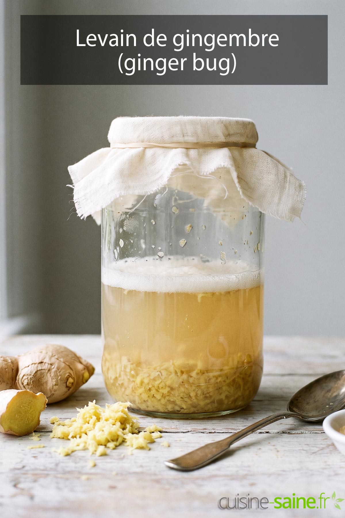 Recette de levain de gingembre (ginger bug)