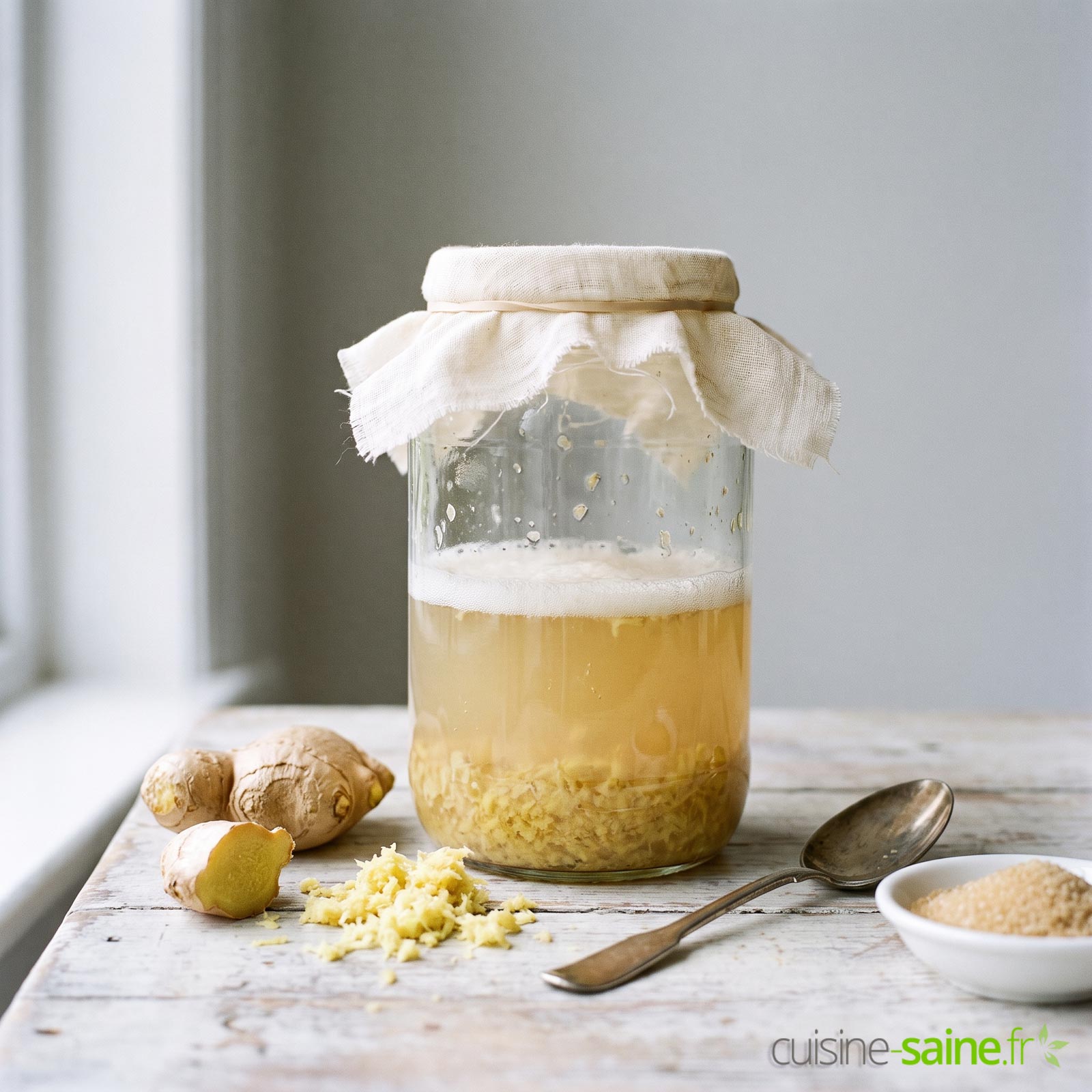 Recette de levain de gingembre (ginger bug)