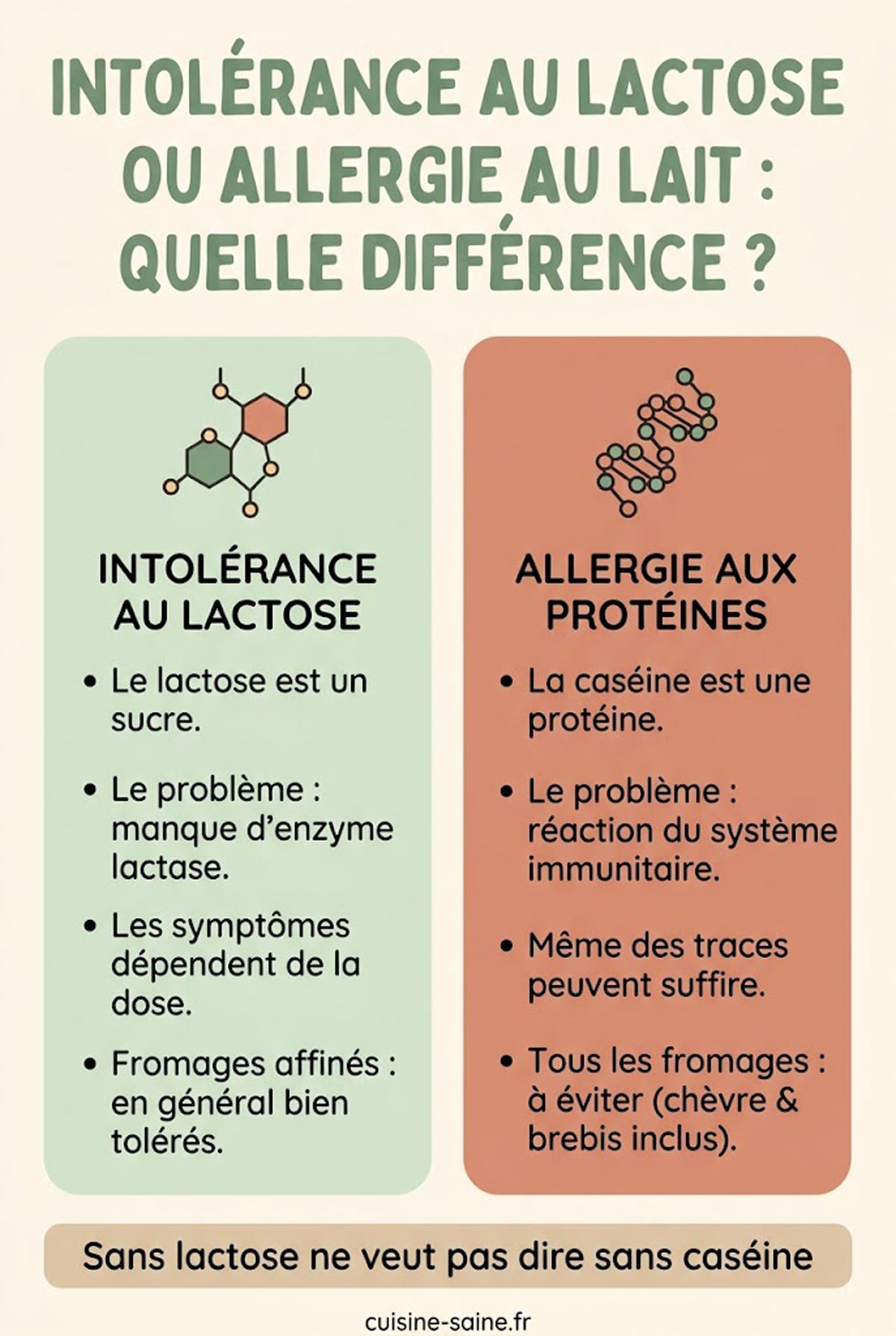 Schéma comparant l'intolérance au lactose, un sucre du lait, et l'allergie aux protéines de lait comme la caséine, avec les fromages autorisés dans chaque cas