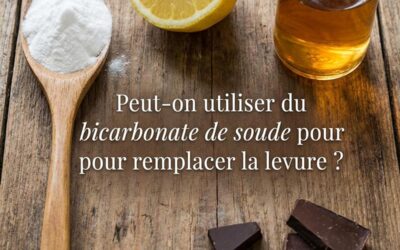 Comment remplacer la levure ? + convertisseur de levures