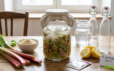 Vin de rhubarbe maison : une boisson fermentée surprenante