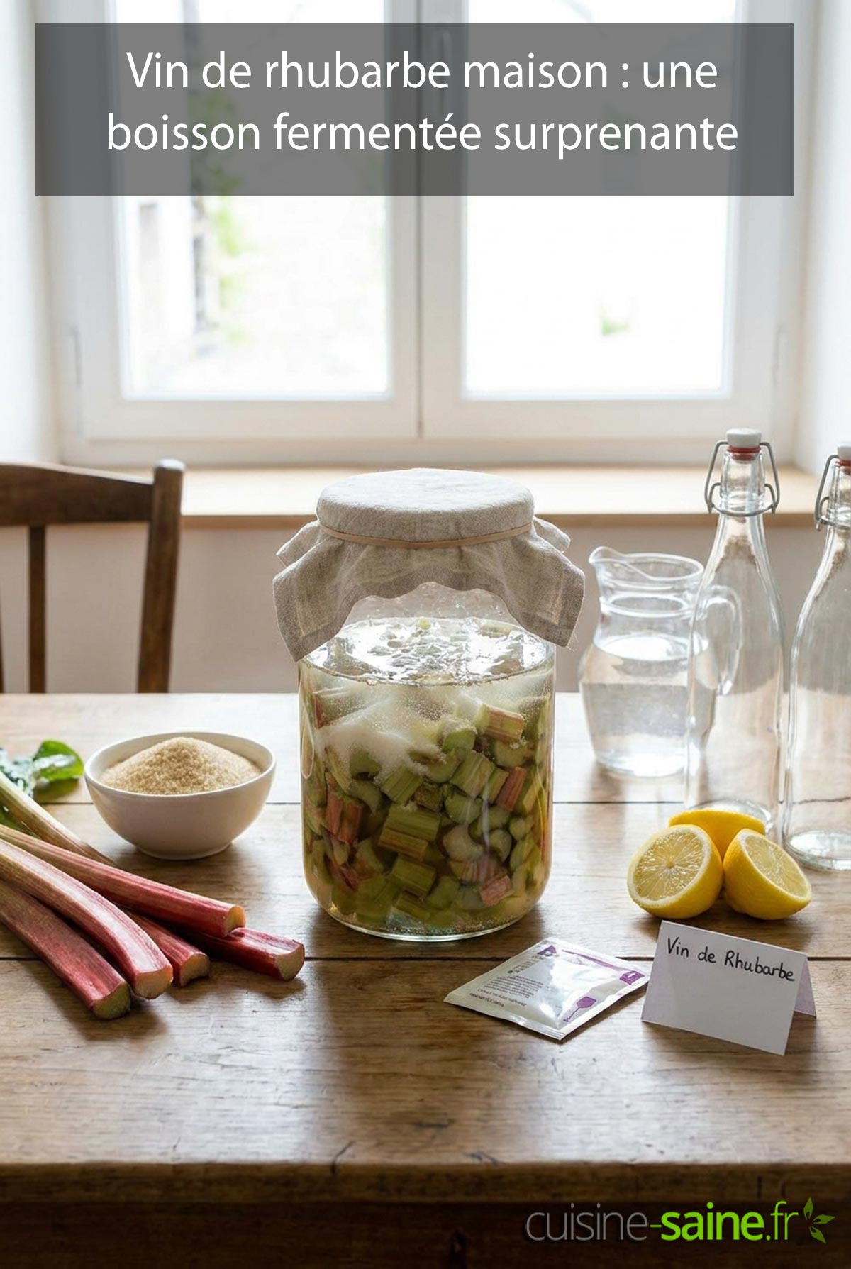 Vin de rhubarbe maison : une boisson fermentée surprenante