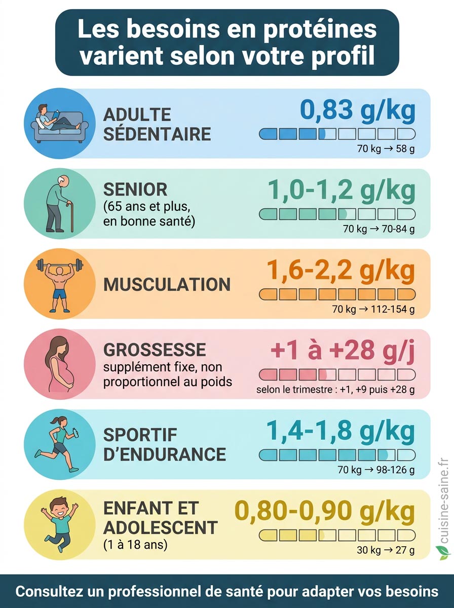 Apports en protéines recommandés par profil : adulte sédentaire, senior, musculation, grossesse, endurance, enfant et adolescent |