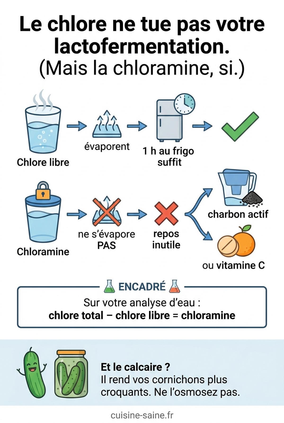 Infographie le chlore ne tue pas votre lactofermentation, la chloramine, si !