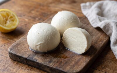 Recette de mozzarella vegan sans lactose