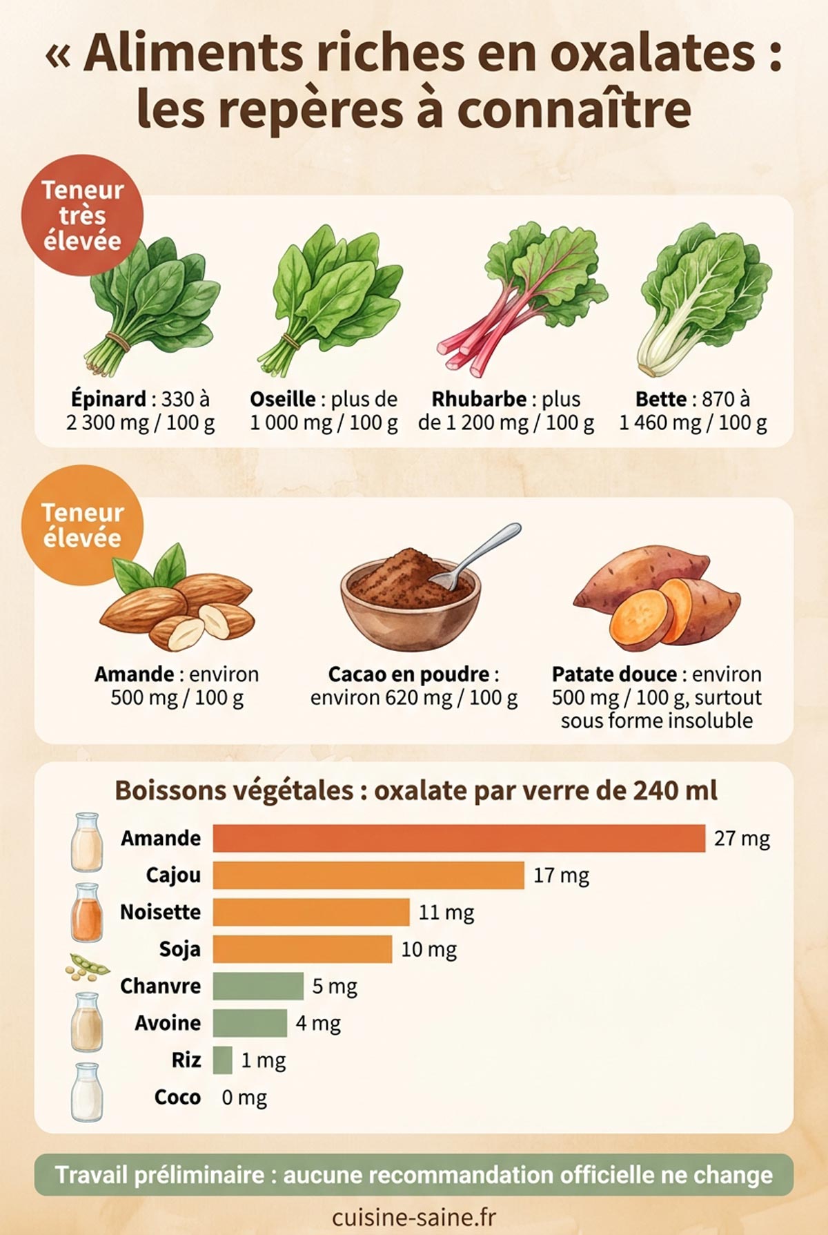 Infographie des aliments riches en oxalates classés par niveau, de l'épinard et la rhubarbe à la boisson de coco, avec la teneur des boissons végétales par verre